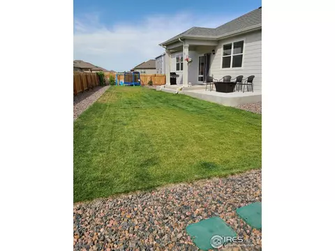 910 Birchdale Ct, Windsor, CO 80550 photo 3