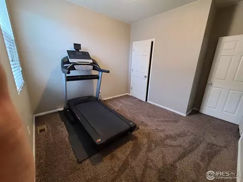 910 Birchdale Ct, Windsor, CO 80550 photo 9
