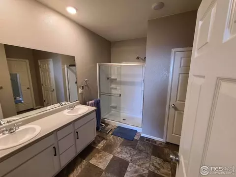 910 Birchdale Ct, Windsor, CO 80550 photo 14