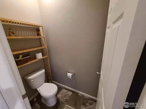 910 Birchdale Ct, Windsor, CO 80550 photo 16