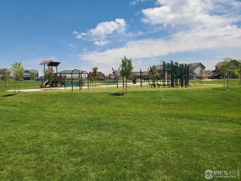 910 Birchdale Ct, Windsor, CO 80550 photo 18