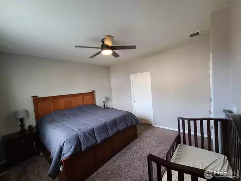 910 Birchdale Ct, Windsor, CO 80550 photo 8