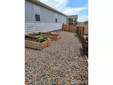 910 Birchdale Ct, Windsor, CO 80550 photo 4