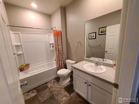 910 Birchdale Ct, Windsor, CO 80550 photo 15