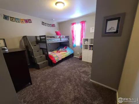 910 Birchdale Ct, Windsor, CO 80550 photo 6