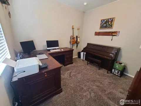 910 Birchdale Ct, Windsor, CO 80550 photo 5
