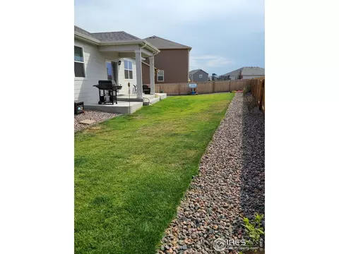 910 Birchdale Ct, Windsor, CO 80550 photo 2