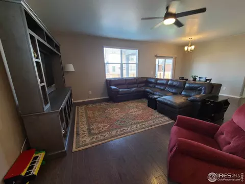 910 Birchdale Ct, Windsor, CO 80550 photo 13