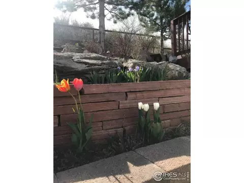 827 3rd Ave, Lyons, CO 80540 photo 16