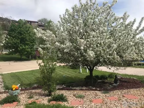 827 3rd Ave, Lyons, CO 80540 photo 2
