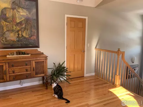 827 3rd Ave, Lyons, CO 80540 photo 5