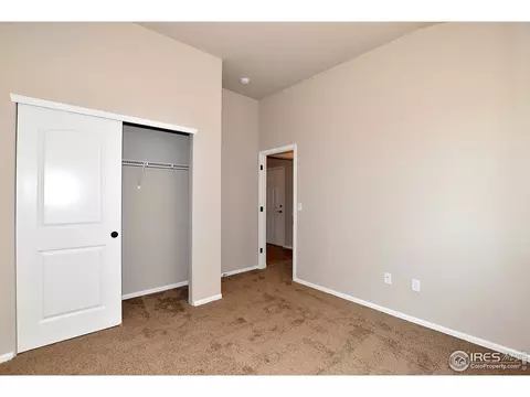816 Sambar Dr, Windsor, CO 80550 photo 34