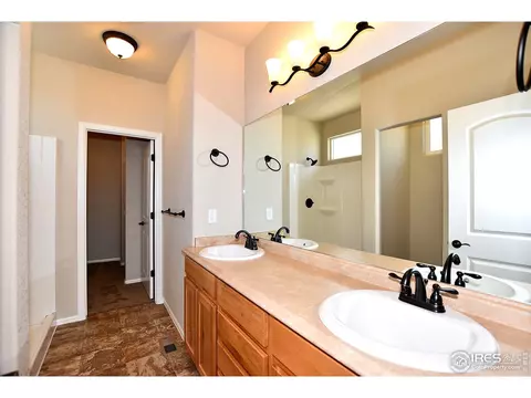 816 Sambar Dr, Windsor, CO 80550 photo 29