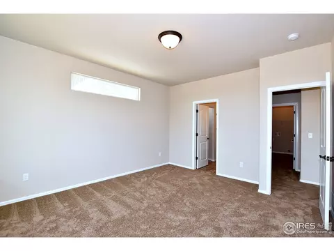 816 Sambar Dr, Windsor, CO 80550 photo 26