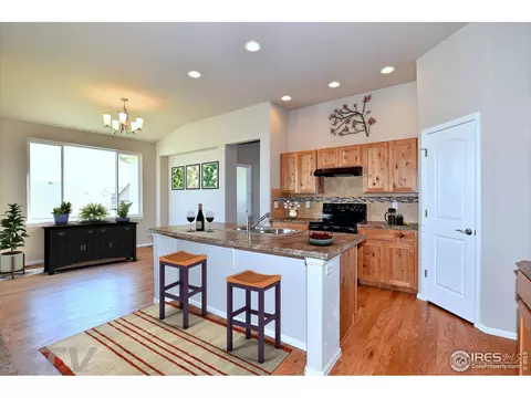 816 Sambar Dr, Windsor, CO 80550 photo 5