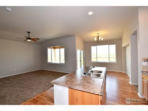 816 Sambar Dr, Windsor, CO 80550 photo 19