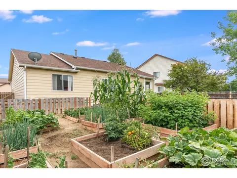 240 Rochester Dr, Windsor, CO 80550 photo 33