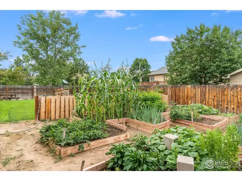 240 Rochester Dr, Windsor, CO 80550 photo 32
