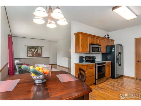 240 Rochester Dr, Windsor, CO 80550 photo 11