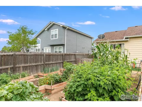 240 Rochester Dr, Windsor, CO 80550 photo 34