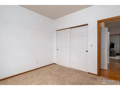 240 Rochester Dr, Windsor, CO 80550 photo 20