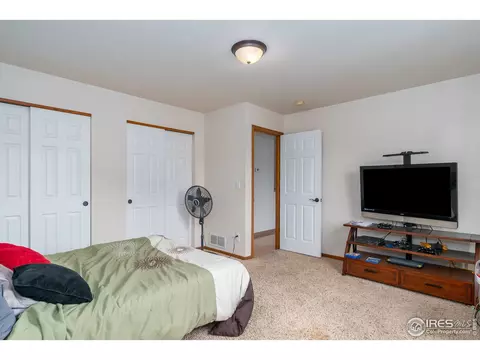 240 Rochester Dr, Windsor, CO 80550 photo 22