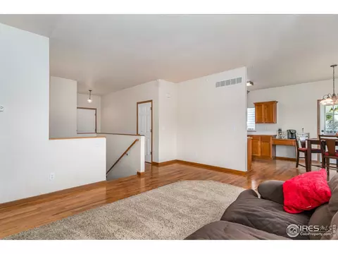 240 Rochester Dr, Windsor, CO 80550 photo 6