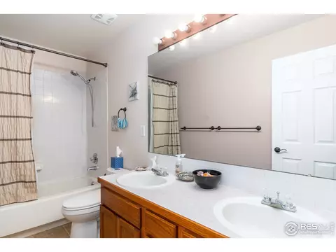 240 Rochester Dr, Windsor, CO 80550 photo 18