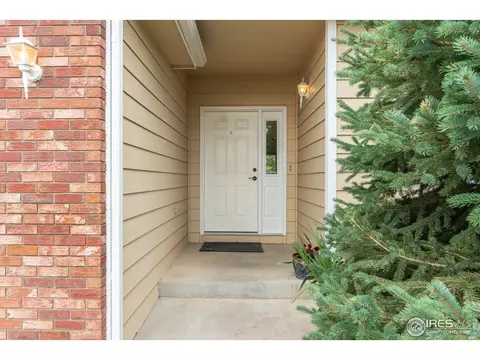 240 Rochester Dr, Windsor, CO 80550 photo 4