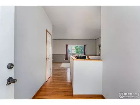 240 Rochester Dr, Windsor, CO 80550 photo 5