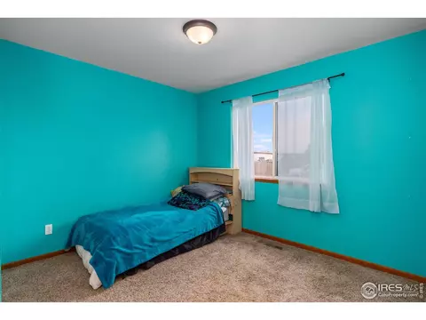 240 Rochester Dr, Windsor, CO 80550 photo 23