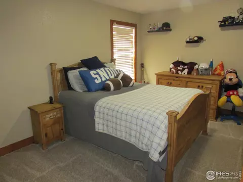 103 Common Dr, Berthoud, CO 80513 photo 17