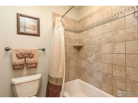 2071 Bayfront Dr, Windsor, CO 80550 photo 21