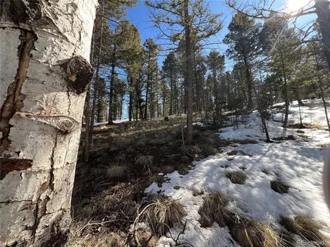 92 Nevada Ln, Florissant, CO 80816