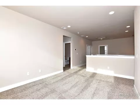 1434 Tule Dr, Severance, CO 80550 photo 24