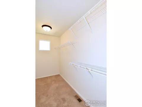 827 Sambar Dr, Severance, CO 80550 photo 24