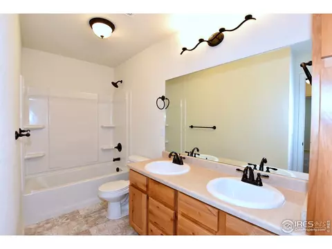 827 Sambar Dr, Severance, CO 80550 photo 32