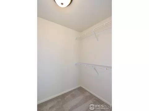 828 Sambar Dr, Severance, CO 80550 photo 22