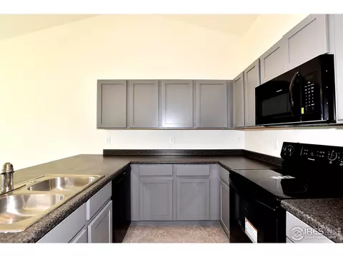 828 Sambar Dr, Severance, CO 80550 photo 17
