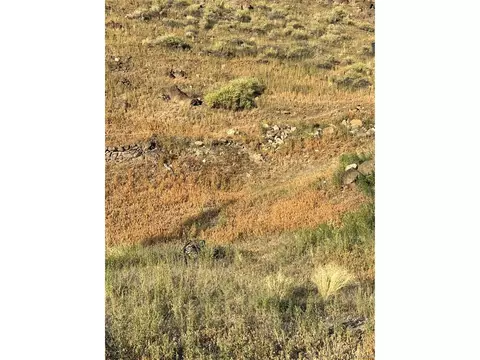 Hillside Dr, Salida, CO 81201 photo 10