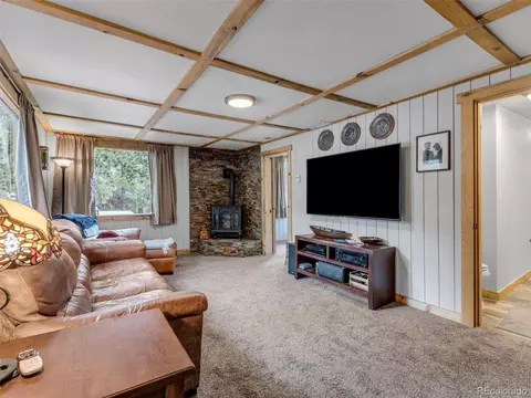146 Dynamite Dr, Black Hawk, CO 80422 photo 7