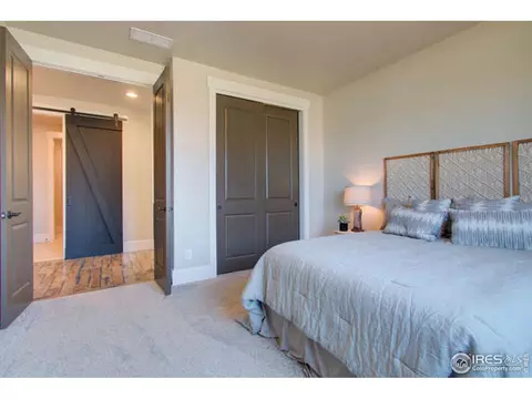 1639 Kit St, Severance, CO 80550 photo 38