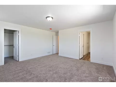 1275 Baker Pass St, Windsor, CO 80550 photo 15