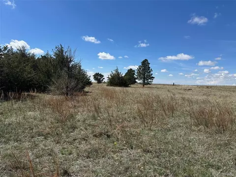 Undisclosed, Peyton, CO 80831 photo 4