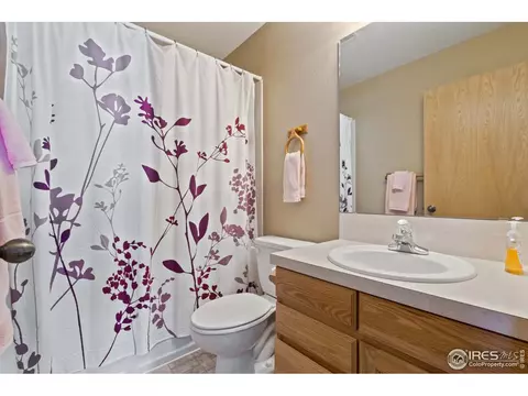 1303 Banyan Dr, Fort Collins, CO 80521 photo 18