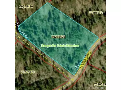 6093 Forbes Rd, San Luis, CO 81152