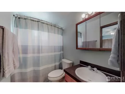 957 Nantucket St, Windsor, CO 80550 photo 22