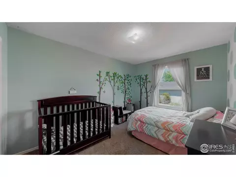 957 Nantucket St, Windsor, CO 80550 photo 19