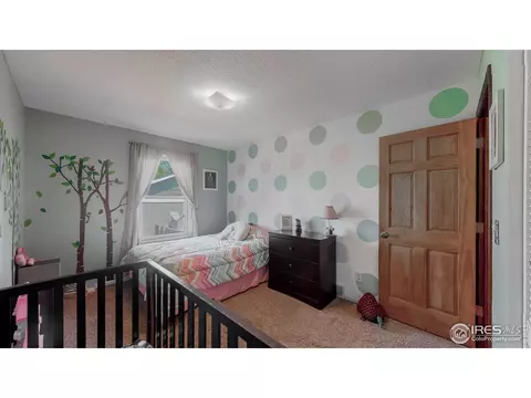 957 Nantucket St, Windsor, CO 80550 photo 20
