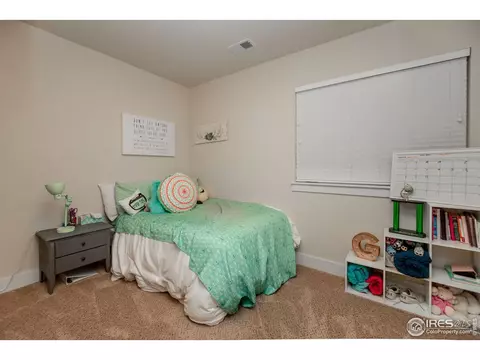 7360 Caledonian Ct, Windsor, CO 80550 photo 32